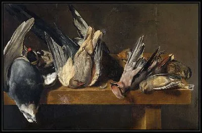 Мертвые птицы