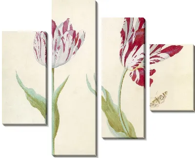 Тви Тюльпен встретил Влиндера. (1637)