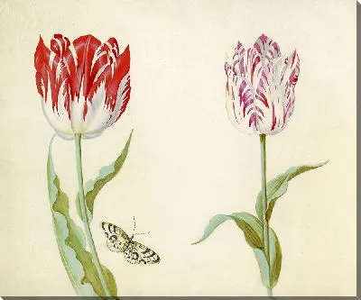 Картина Тви Тюльпен встретил Влиндера (1637 г.) (2)