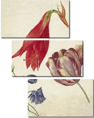 Картина Тюльпан, акелея и амариллис (1792 г.)