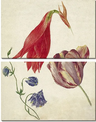 Картина Тюльпан, акелея и амариллис (1792 г.)