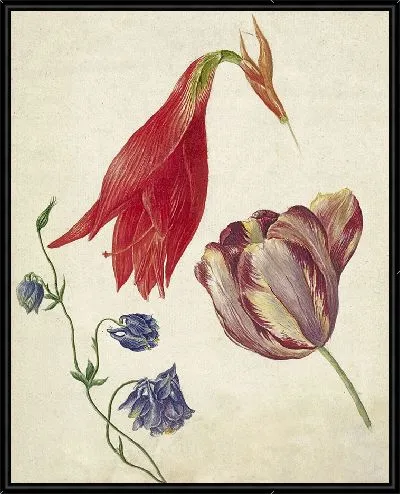 Картина Тюльпан, акелея и амариллис (1792 г.)