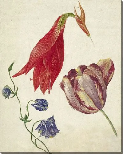 Картина Тюльпан, акелея и амариллис (1792 г.)