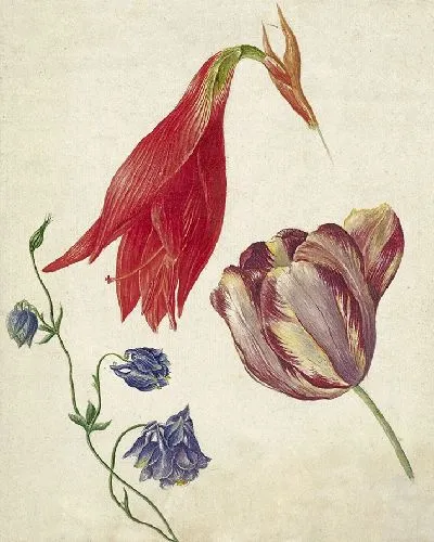 Картина Тюльпан, акелея и амариллис (1792 г.)