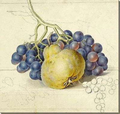 Стиллевен встретил друга и сверстника (1792)