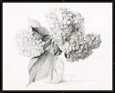 Гортензии в вазе (1935)