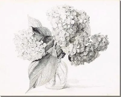 Гортензии в вазе (1935)