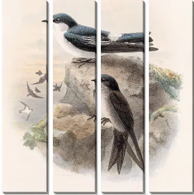 Картина Птицы Авес Пл. 74 (1879-1915) №15