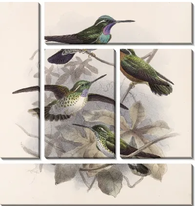 Птицы Авес Пл. 74 (1879-1915) №55