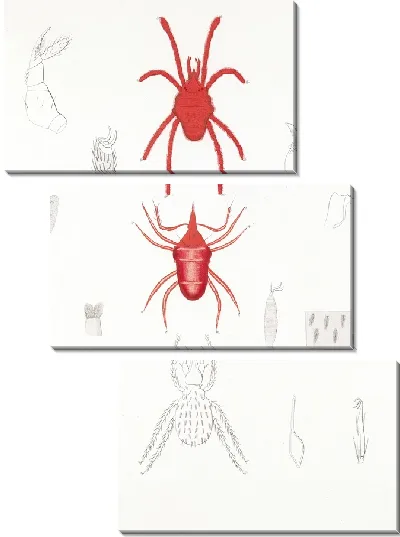 Картина Пауки Арахнида Акаридея (1879-1915) №3