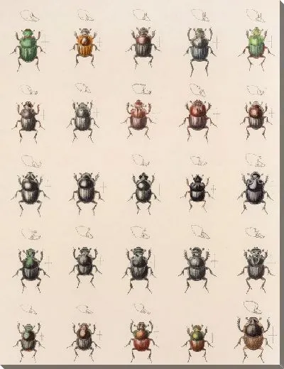 Картина Жуки (1879-1915) №5