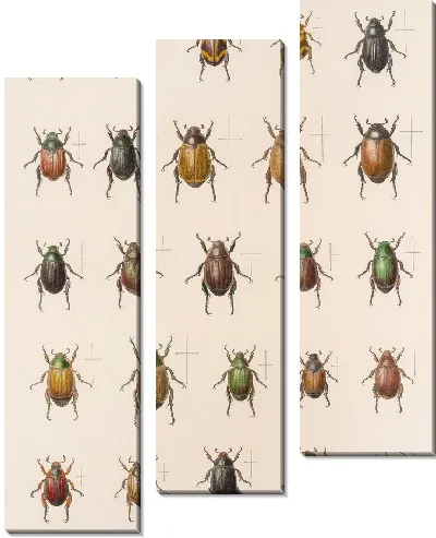 Картина Жуки (1879-1915) №13