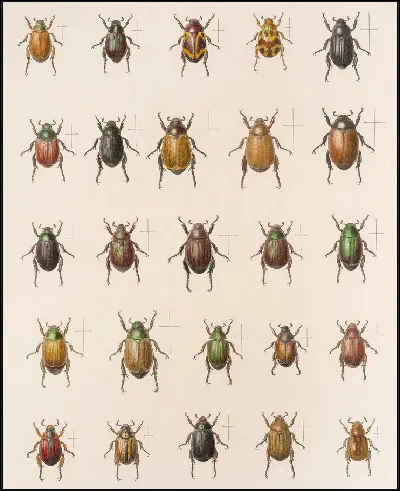 картина