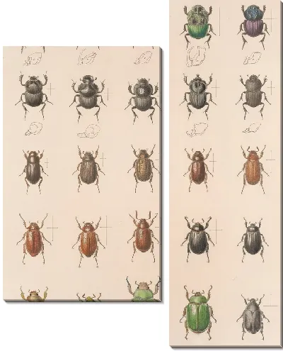 Картина Жуки (1879-1915) №24