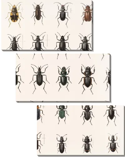 Картина Жуки (1879-1915) №26