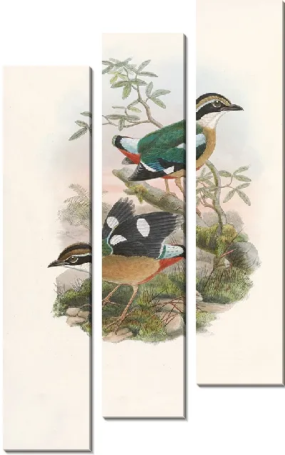 Картина Птицы Монография (1880) №1