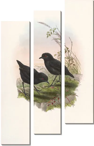 Картина Птицы Монография (1880) №2