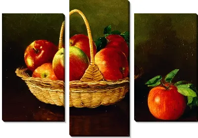 Модульная картина Натюрморт (Still-life) №8