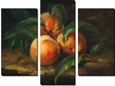 Картина Персики (Peaches)