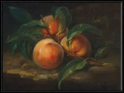 Персики (Peaches)