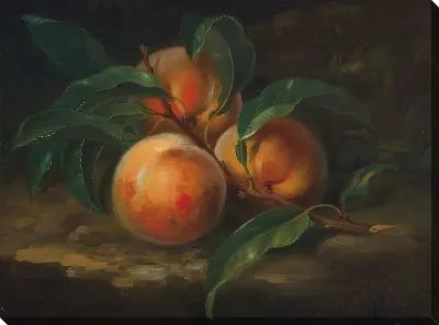 Персики (Peaches)