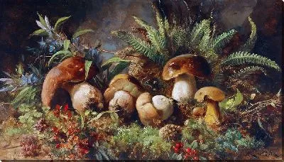 Счастливчики