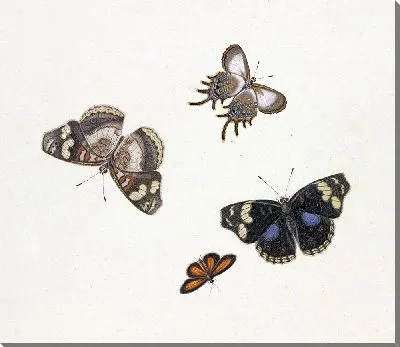 Картина Четыре бабочки