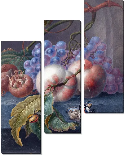 Картина Фрукты с бабочкой и улиткой (1677 – 1726)
