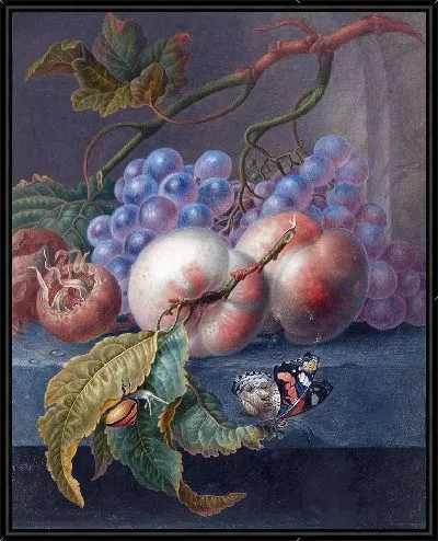 Картина Фрукты с бабочкой и улиткой (1677 – 1726)