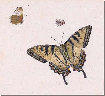 Картина Три виндсерса (1683)