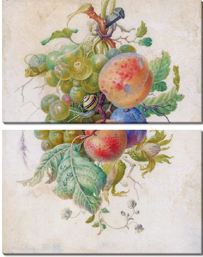 Картина Гирлянда из фруктов (1677 г.)