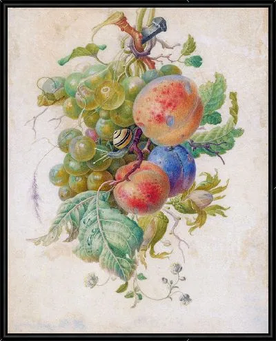 Картина Гирлянда из фруктов (1677 г.)