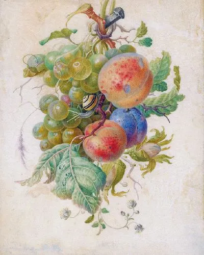 Картина Гирлянда из фруктов (1677 г.)