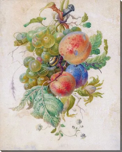 Картина Гирлянда из фруктов (1677 г.)