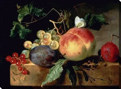 Картина Натюрморт (Still-life) №22