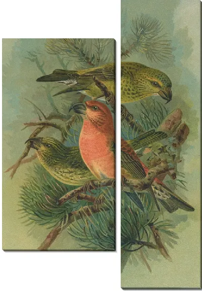 Картина Бехст