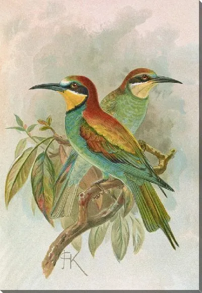 Картина Пчеловод Merops