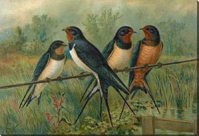 Картина Хирундо