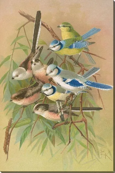 Картина Голубой парус, хвостатый попугай, хвостатый бродяга, хвостатый Ирбис, синий парус-пелена