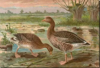 Картина Ответ ответ