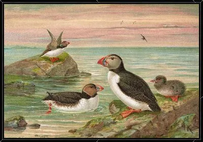 Арктишер Лунд