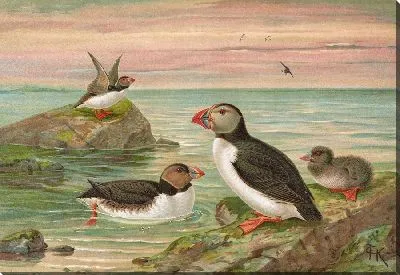 Арктишер Лунд