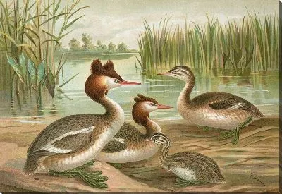 Картина Большой Лаппентаухер (2)