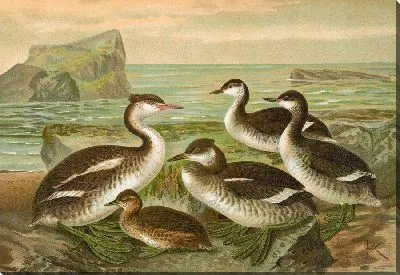 Картина Большой Лаппентаухер