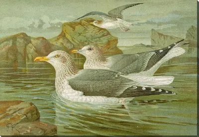 Картина Большой Лаппентаухер