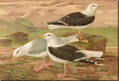 Картина Брунн