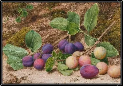 Картина Натюрморт (Still-life) №32