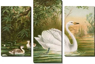 Картина Лебедь