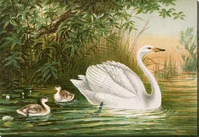 Картина Лебедь