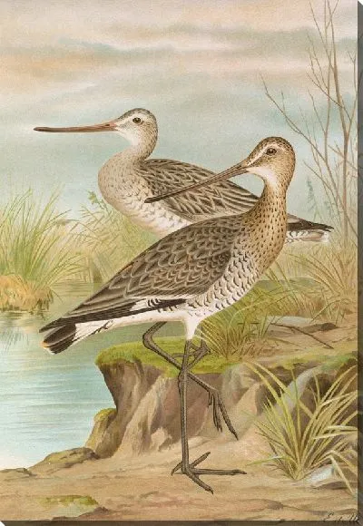 Картина Лимоза